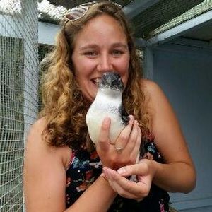 Meet your Posher, Molly